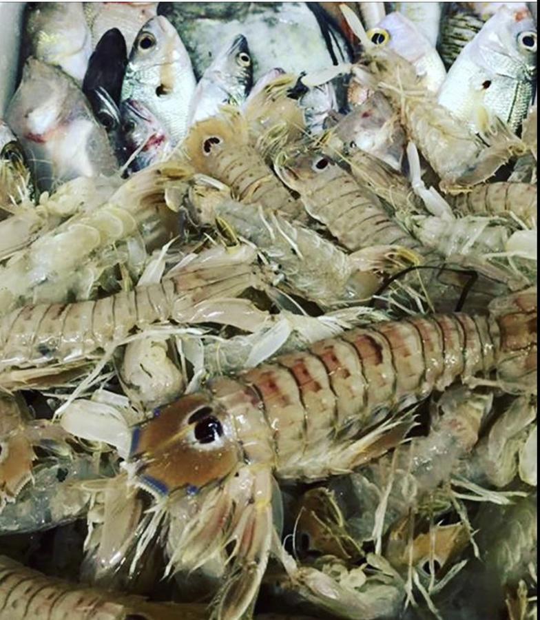 曼德塔酒店 帕埃斯图姆 外观 照片